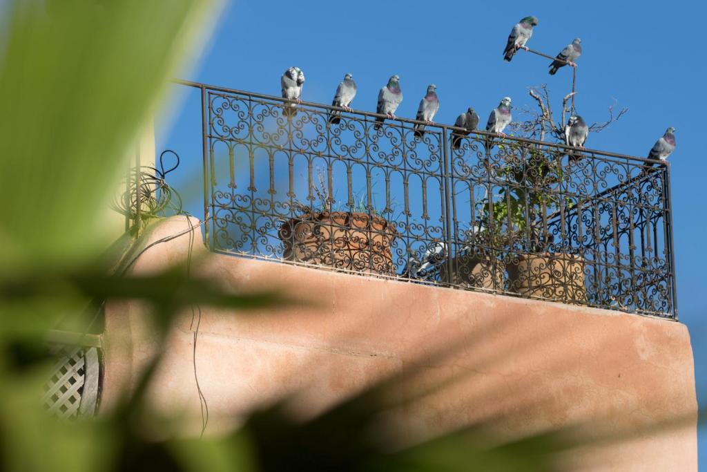 Riad El Maktoub riad Marrakech Tensift Haouz Marrakech 7