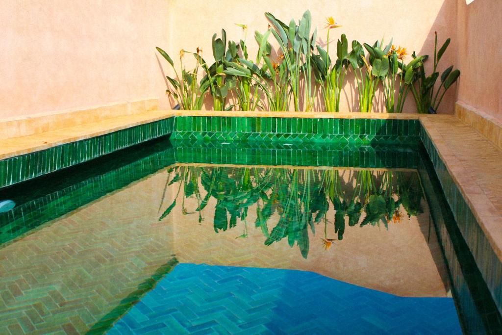 Riad El Morocco Hotel riad Marrakech Tensift Haouz Marrakech 13