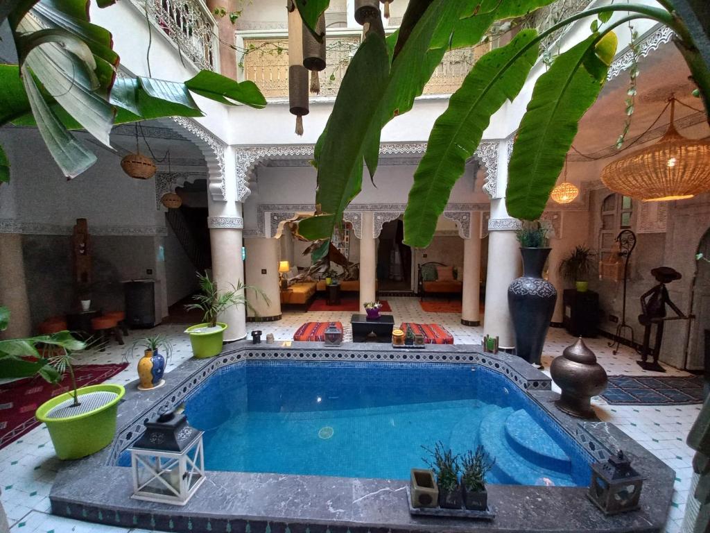 Riad Eloise riad Marrakech Tensift Haouz Marrakech 12