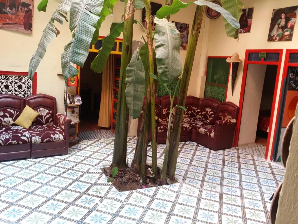 Riad Espagne riad Marrakech Tensift Haouz Marrakech 17