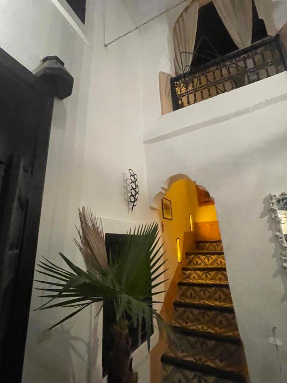 Riad Gaya riad Marrakech Tensift Haouz Marrakech 14