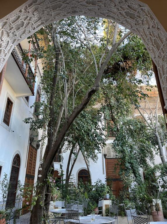 Riad Hanael Garden Spa riad Fes Boulemane Fes 11