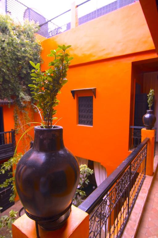 Riad Hermes riad Marrakech Tensift Haouz Marrakech 9