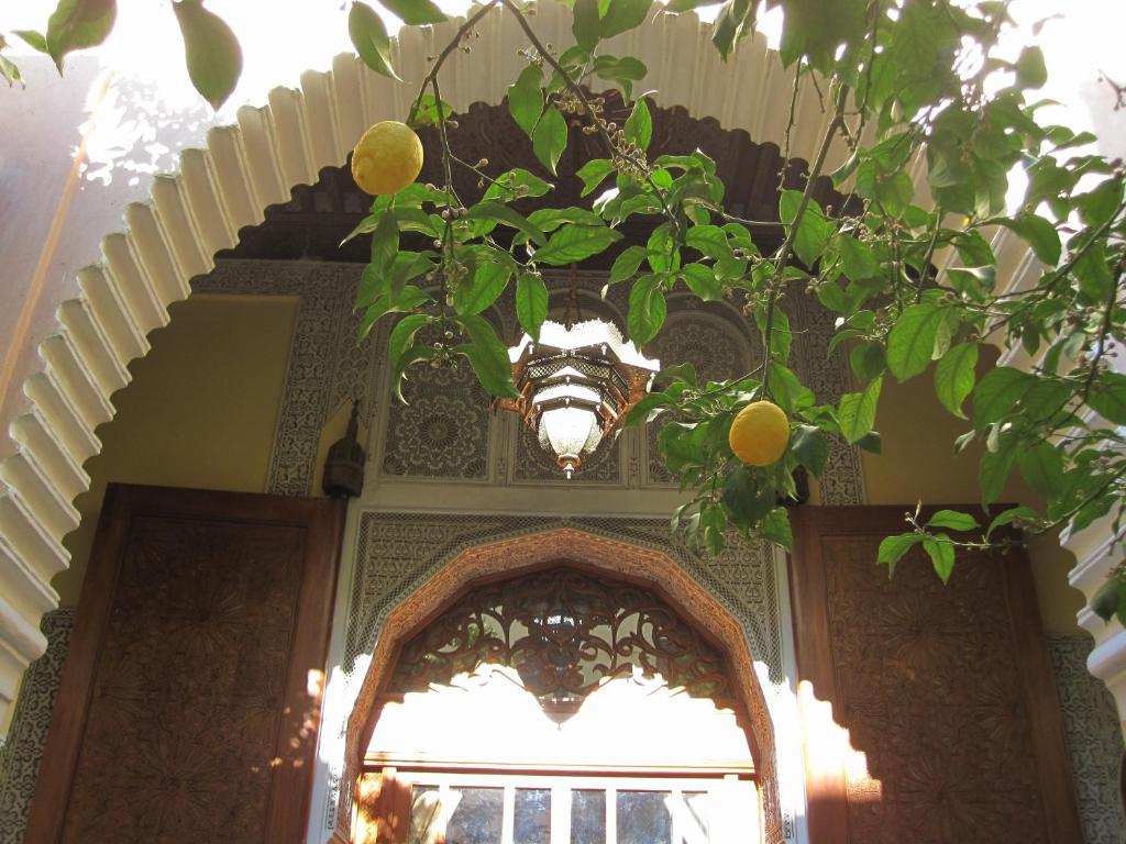 Riad Jaouhara riad Fes Boulemane Fes 9