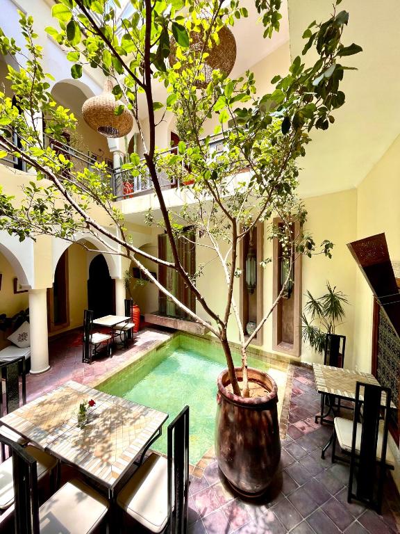 Riad Jardin Des Reves By La Siredrah riad Marrakech Tensift Haouz Marrakech 15