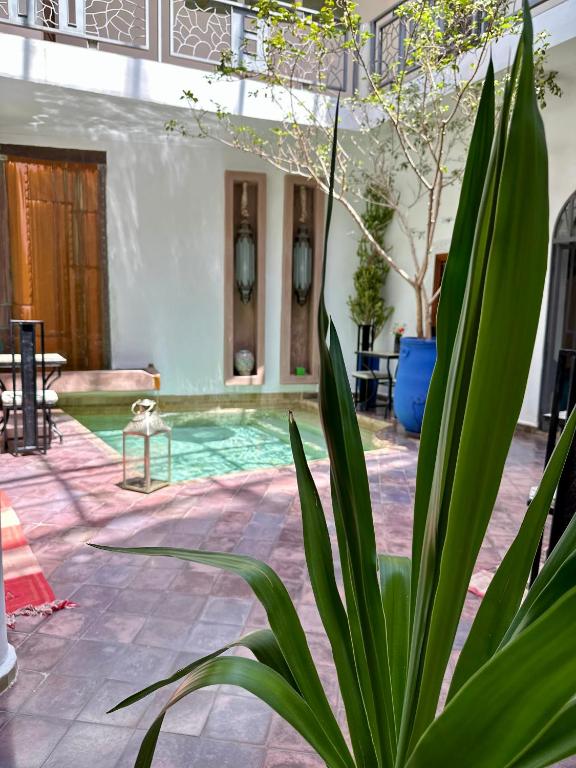 Riad Jardin Des Reves By La Siredrah riad Marrakech Tensift Haouz Marrakech 8