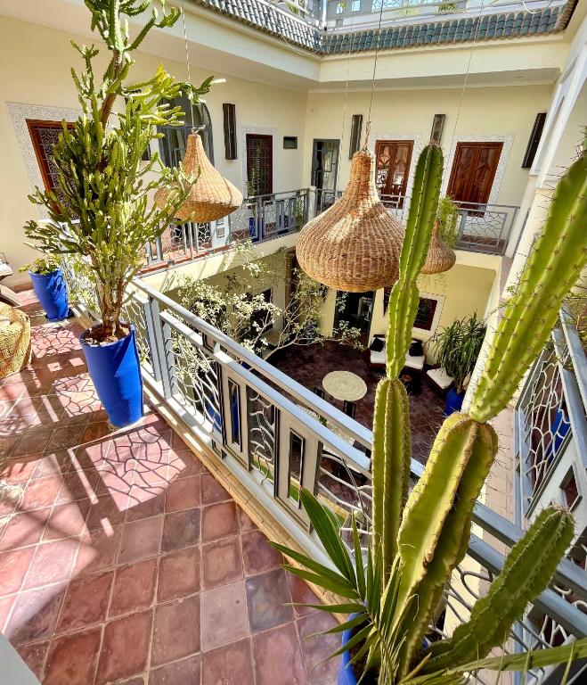 Riad Jardin Des Reves By La Siredrah riad Marrakech Tensift Haouz Marrakech 9