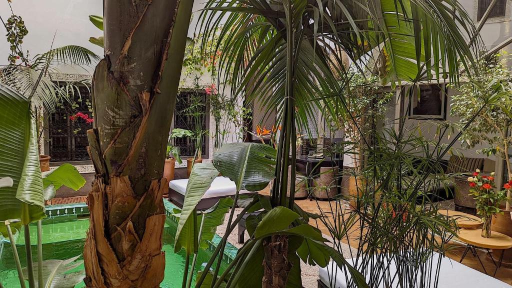 Riad Jardin Des Sens Spa riad Marrakech Tensift Haouz Marrakech 12