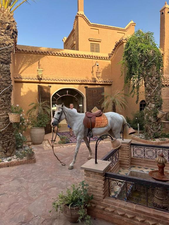 Riad Jnane Ines riad Souss Massa Draa Taroudant 15