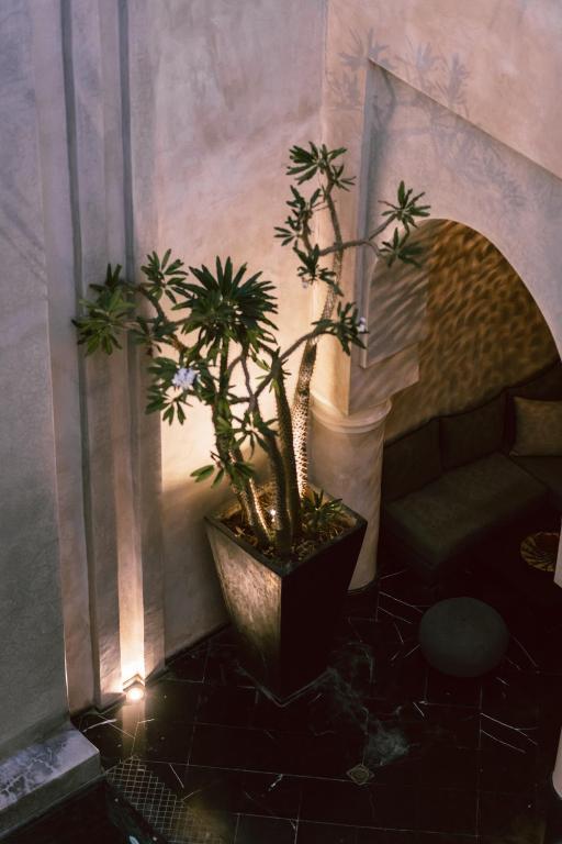 Riad K riad Marrakech Tensift Haouz Marrakech 11