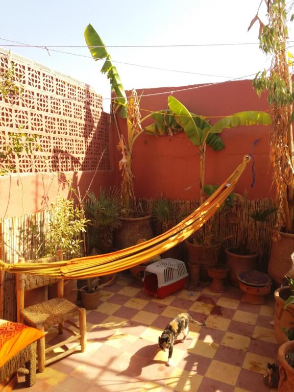 Riad Kainos riad Marrakech Tensift Haouz Marrakech 5