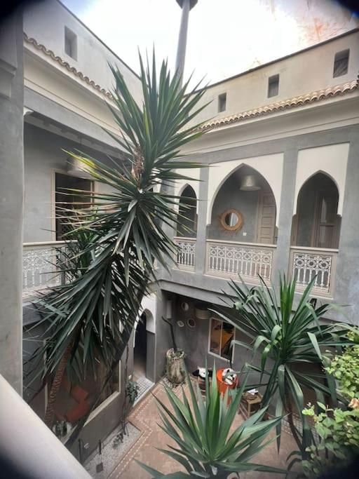 Riad Kismet Marrakech riad Marrakech Tensift Haouz Marrakech