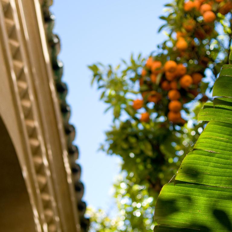 Riad La Maison Da Cote riad Fes Boulemane Meknes 7