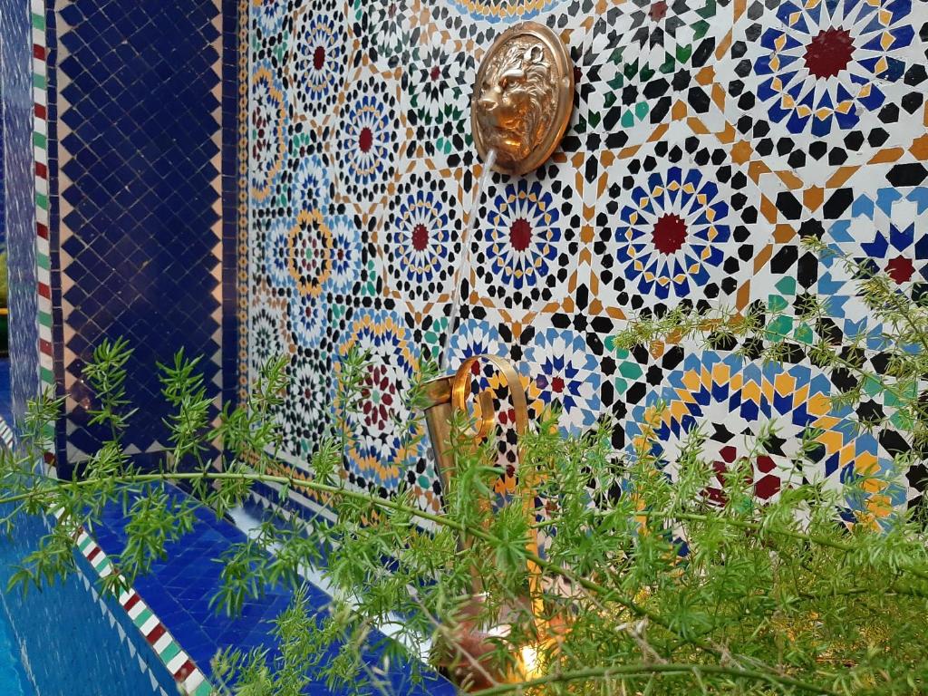 Riad La Porte des 5 Jardins riad Marrakech Tensift Haouz Marrakech 8