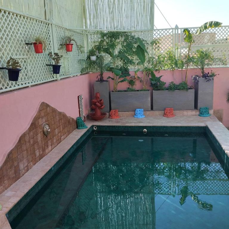 Riad Laith riad Marrakech Tensift Haouz Marrakech 3