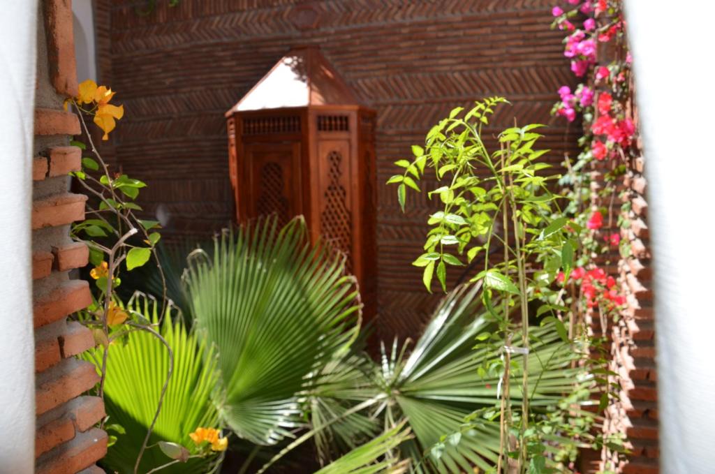 Riad Laith riad Marrakech Tensift Haouz Marrakech 8