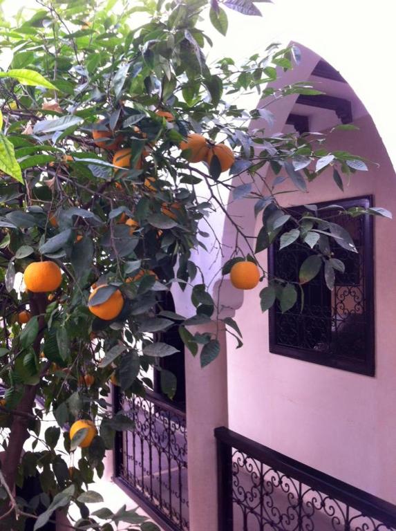 Riad Le Bel Oranger riad Marrakech Tensift Haouz Marrakech 9