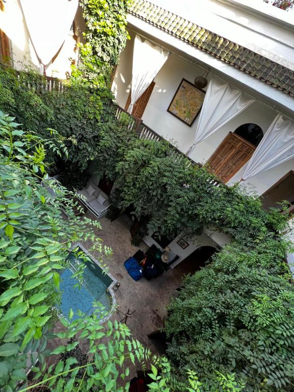 Riad Le Coq Berbere riad Marrakech Tensift Haouz Marrakech 8