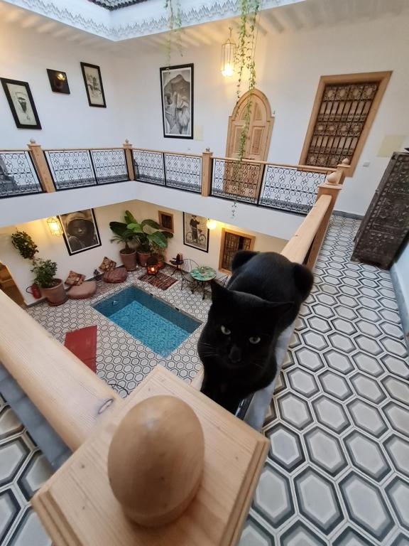 Riad Le Petit Joyau riad Marrakech Tensift Haouz Marrakech 12