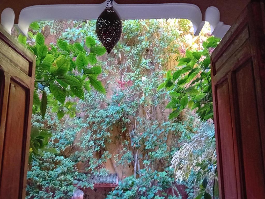 Riad Lumieres du Sud riad Marrakech Tensift Haouz Marrakech 15