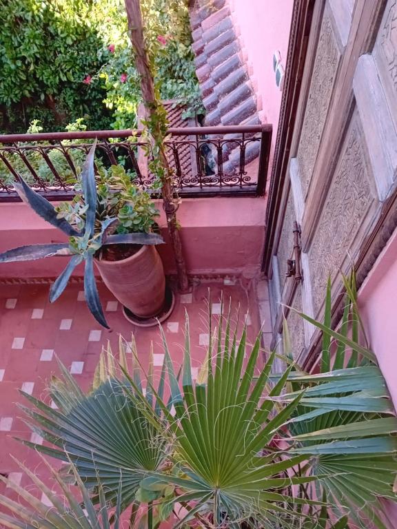 Riad Lumieres du Sud riad Marrakech Tensift Haouz Marrakech 7