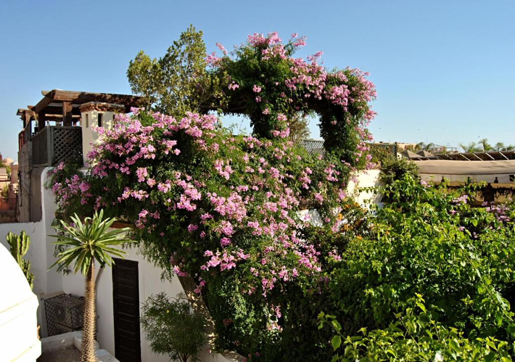 Riad Lyla riad Marrakech Tensift Haouz Marrakech 9