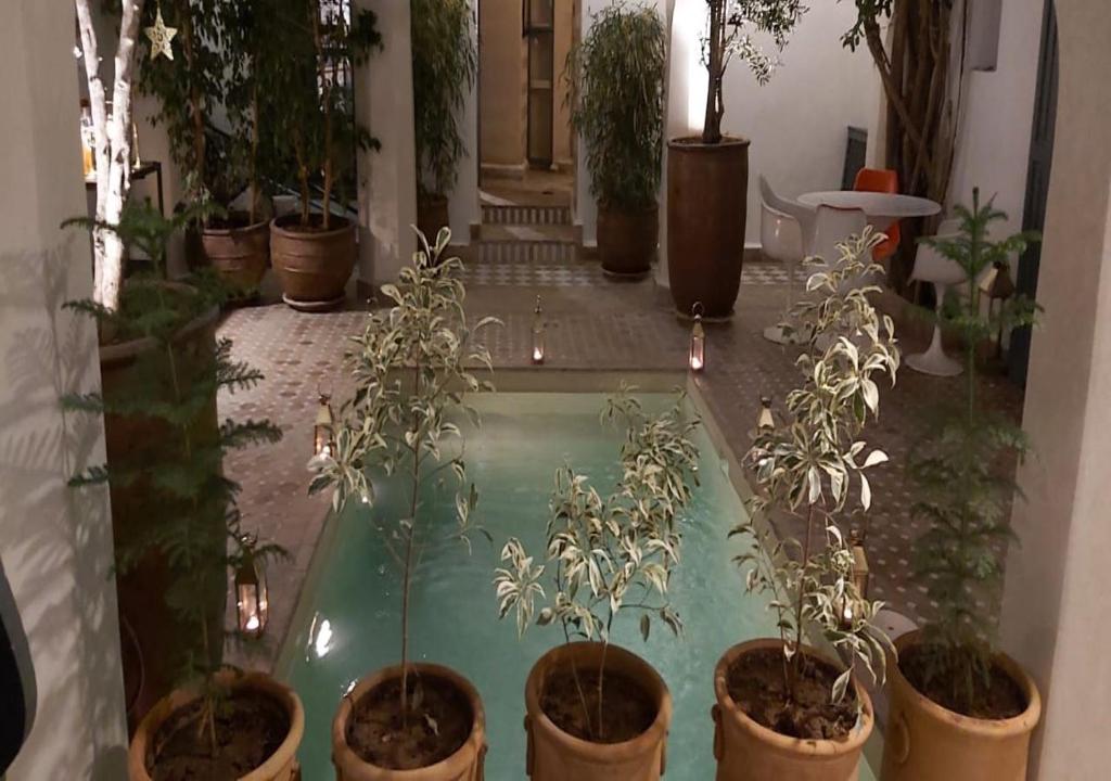 Riad Magellan Yoga and Spa riad Marrakech Tensift Haouz Marrakech 15