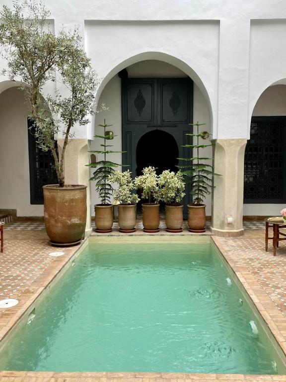 Riad Magellan Yoga and Spa riad Marrakech Tensift Haouz Marrakech 3