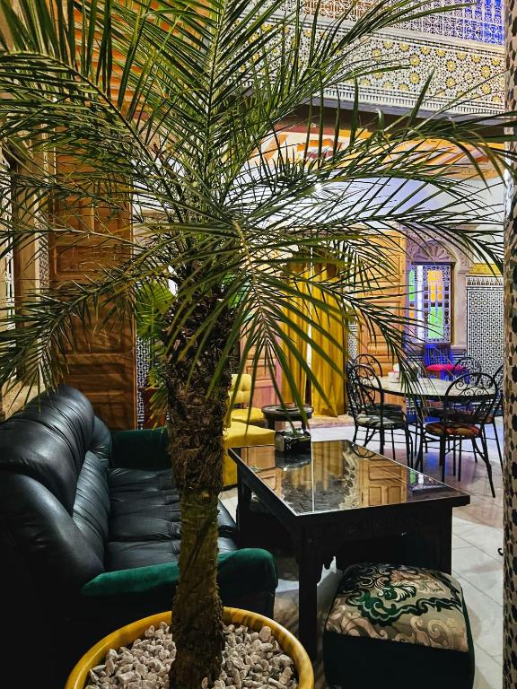 Riad Majorelle riad Rabat Sale Zemmour Zaer Rabat 7