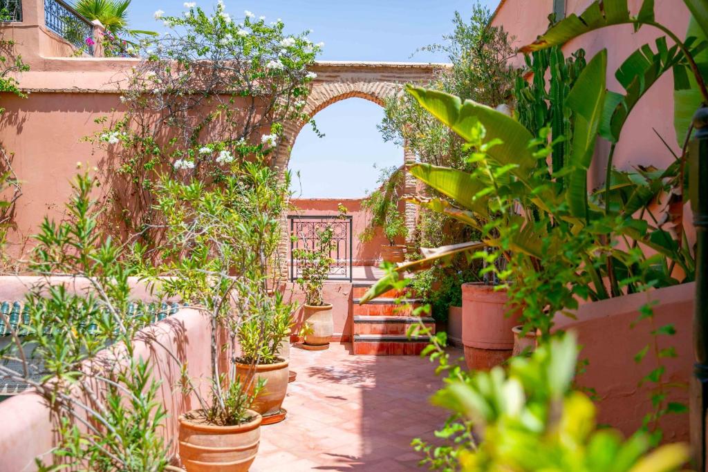 Riad Marelia riad Marrakech Tensift Haouz Marrakech 8