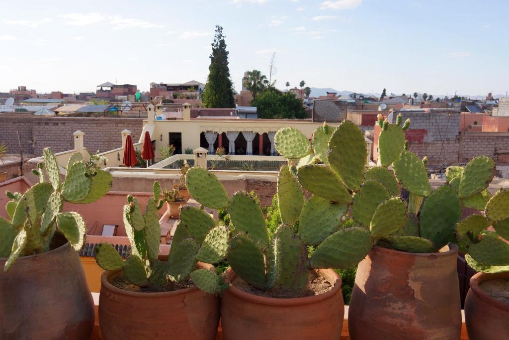 Riad Marrakiss riad Marrakech Tensift Haouz Marrakech 16