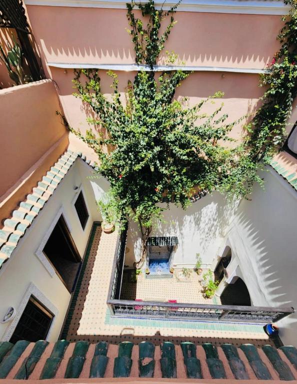 Riad MsHolidays bassin privatise Marrakech riad Marrakech Tensift Haouz Marrakech 8