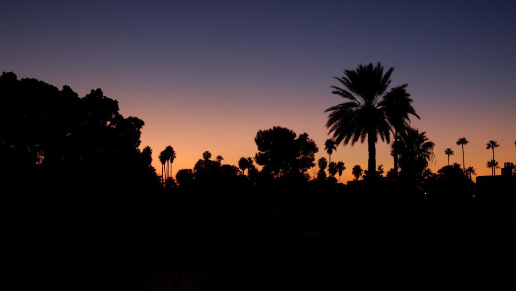 Riad Nafis riad Marrakech Tensift Haouz Marrakech 10