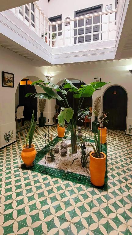 Riad Ocean Medina riad Marrakech Tensift Haouz Essaouira 10