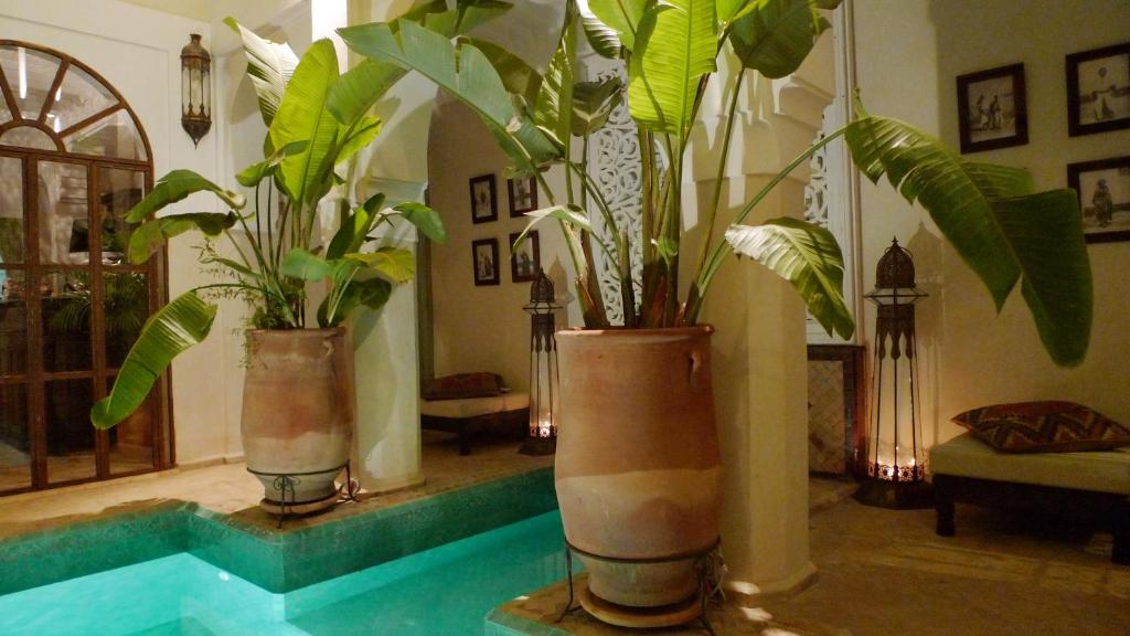 Riad Palacio De Las Especias riad Marrakech Tensift Haouz Marrakech 10