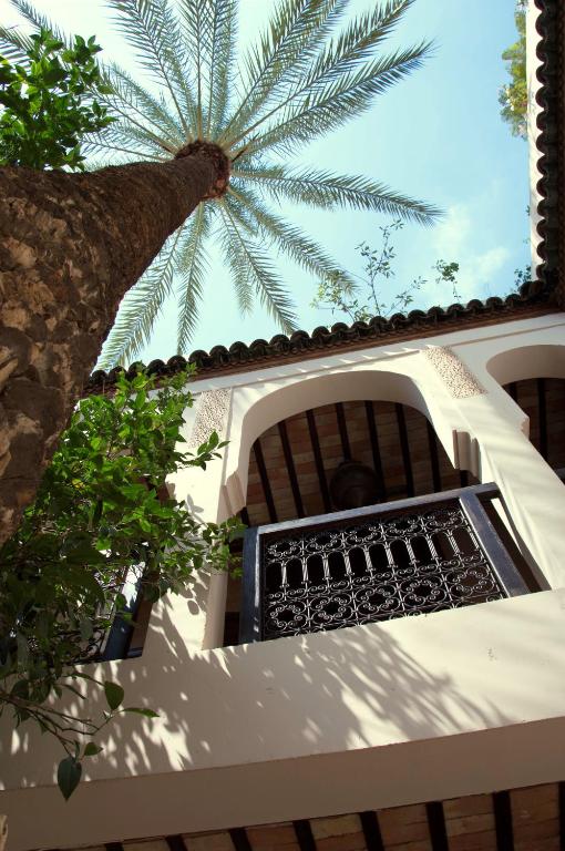 Riad Palmier riad Marrakech Tensift Haouz Marrakech 11