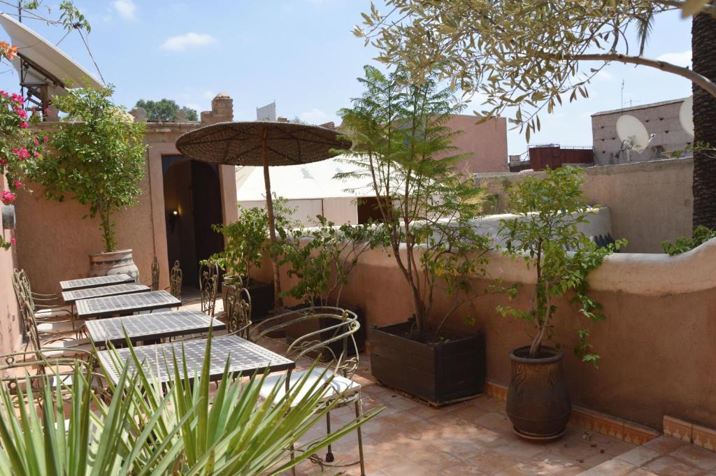 Riad Palmier riad Marrakech Tensift Haouz Marrakech 16