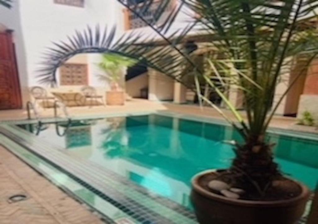 Riad Palmier riad Marrakech Tensift Haouz Marrakech 4