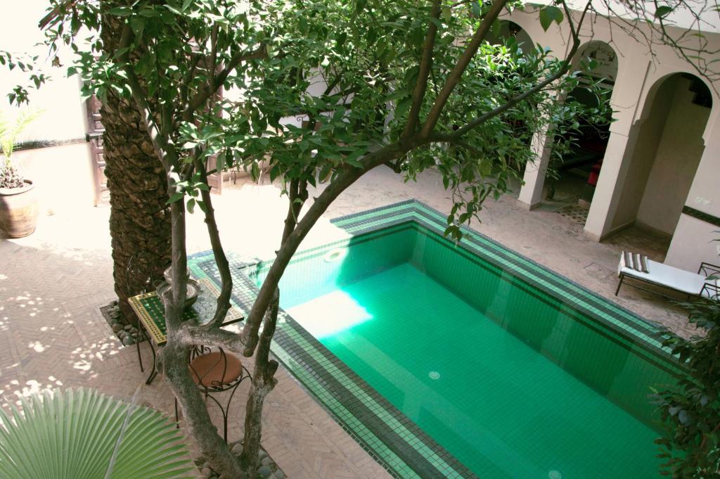 Riad Palmier riad Marrakech Tensift Haouz Marrakech 6