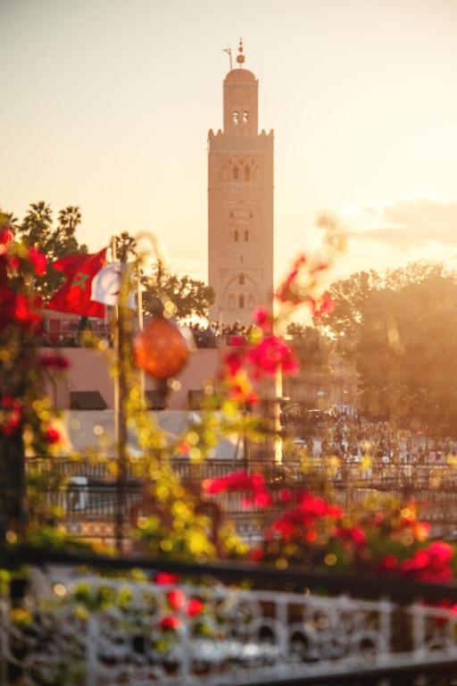 Riad Persephone riad Marrakech Tensift Haouz Marrakech 19