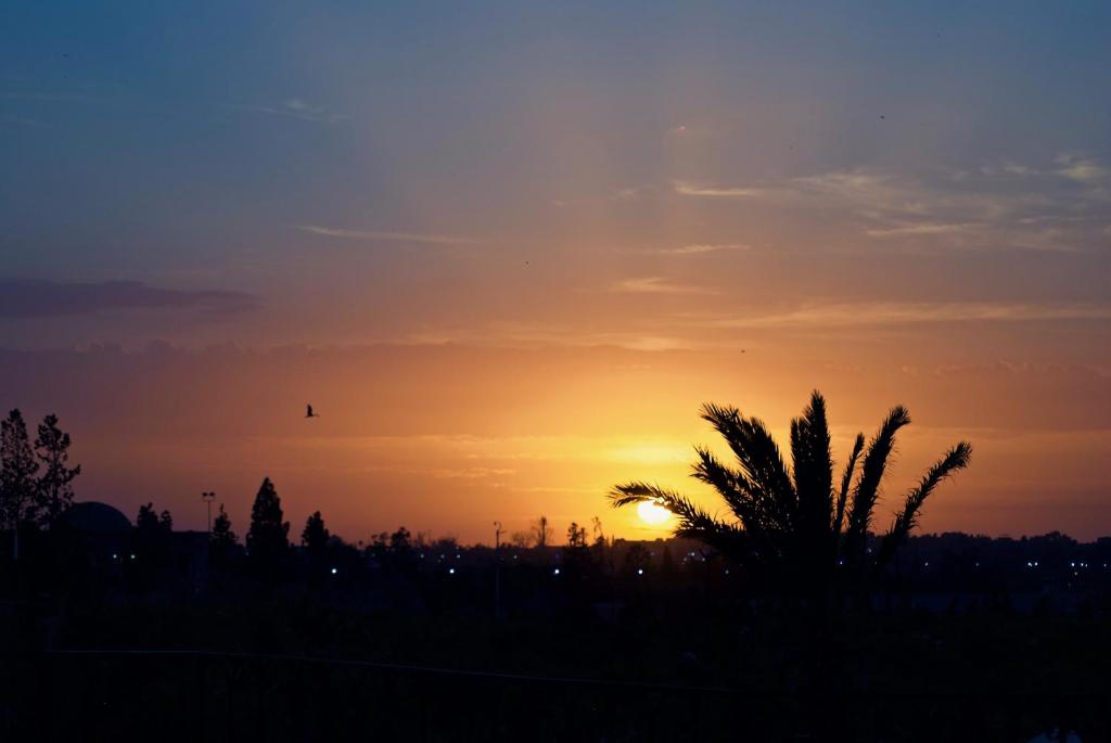 Riad Rockech riad Marrakech Tensift Haouz Marrakech 19