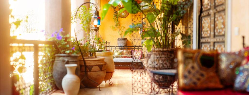 Riad Roxanne riad Marrakech Tensift Haouz Marrakech 11