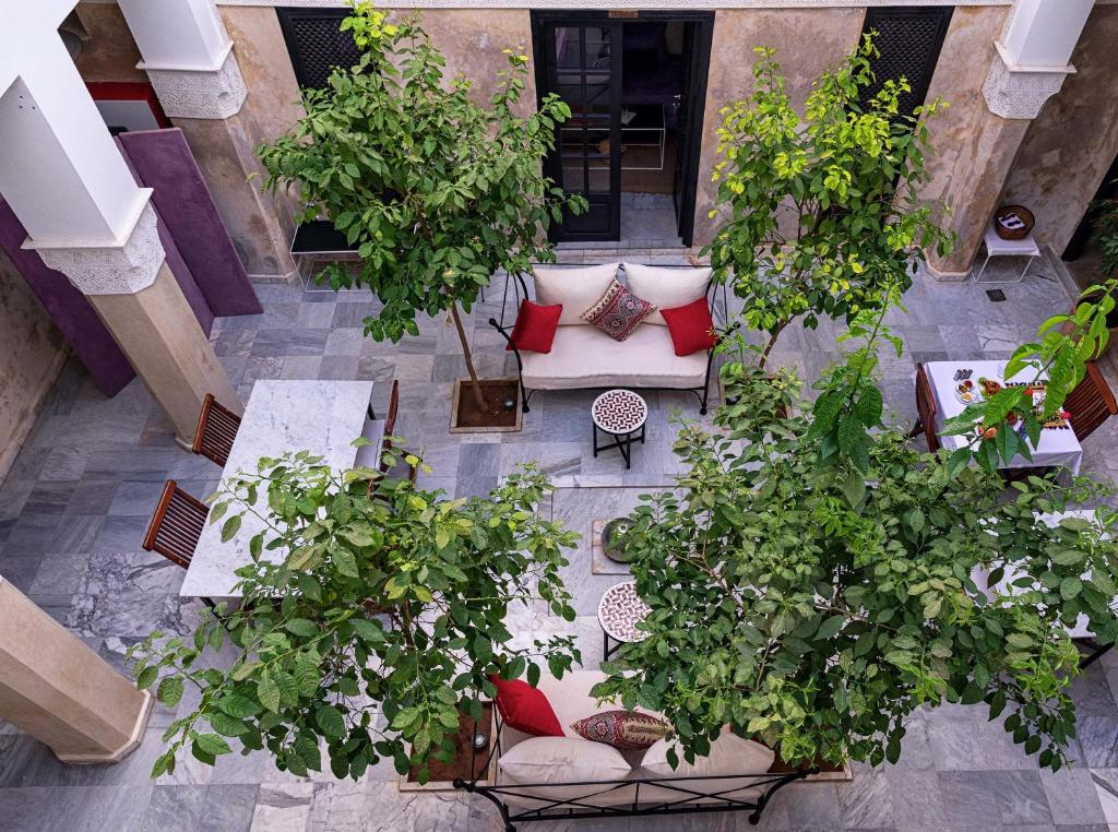 Riad Sapphire Spa riad Marrakech Tensift Haouz Marrakech