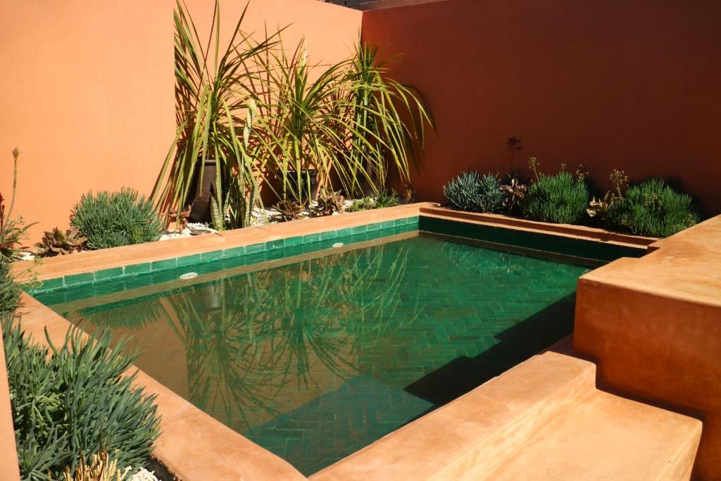 Riad Sassa Finda riad Marrakech Tensift Haouz Marrakech 14