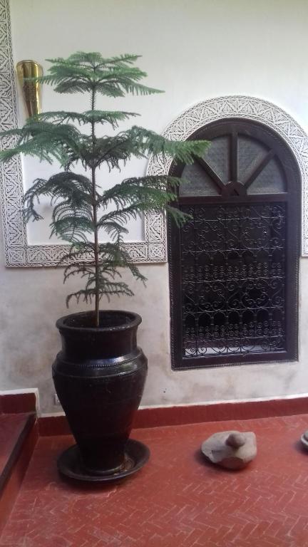 Riad Sidi Ayoub riad Marrakech Tensift Haouz Marrakech 13