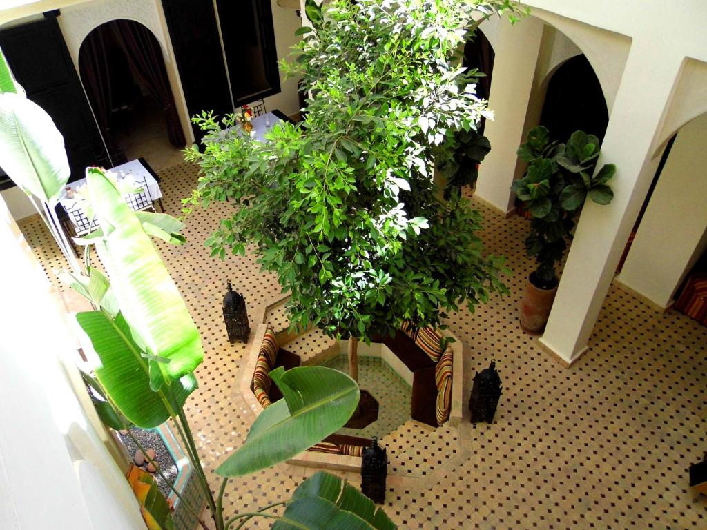 Riad Signature riad Marrakech Tensift Haouz Marrakech 6