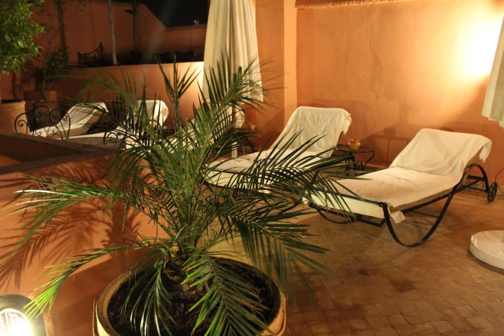 Riad Smara riad Marrakech Tensift Haouz Marrakech 16