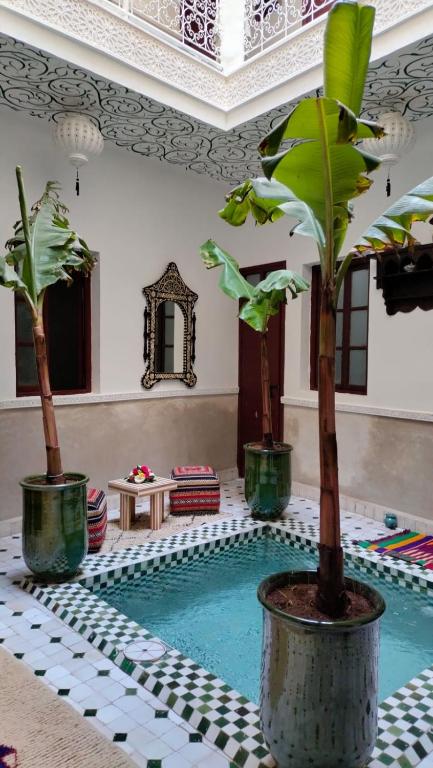 Riad Soleil Dhiver And SPA riad Marrakech Tensift Haouz Marrakech 14