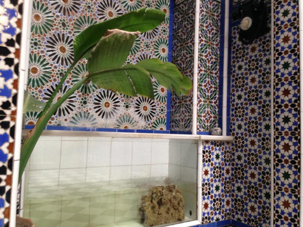 Riad Soul of Tetouan riad Tanger Tetouan Tetouan 6