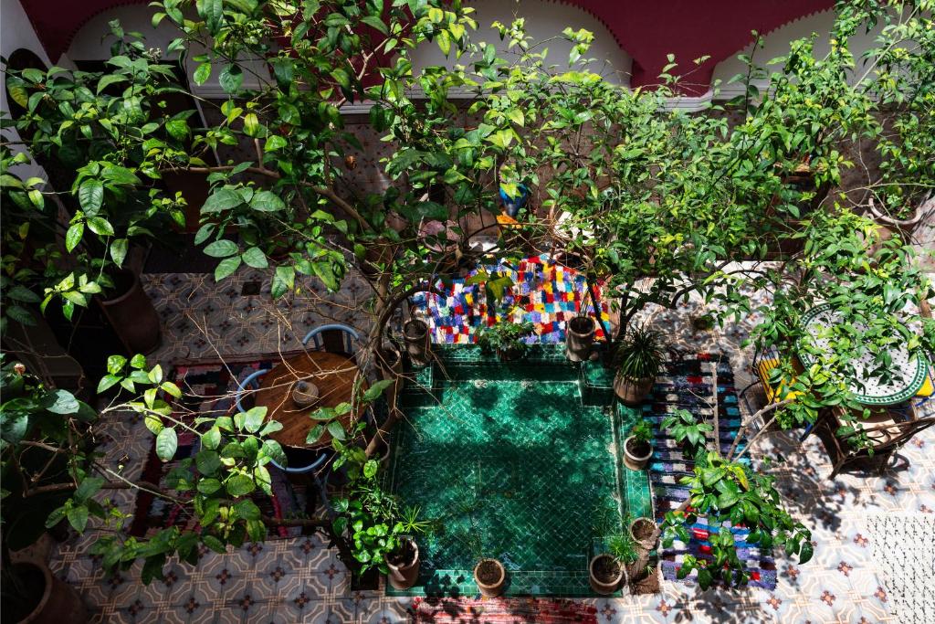 Riad Taghia riad Marrakech Tensift Haouz Marrakech 10